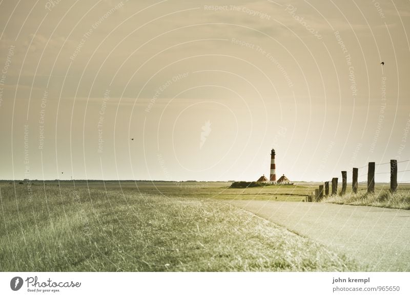 Nordlicht Küste Strand Nordsee Westerhever Leuchtturm Wahrzeichen stehen historisch hoch schön maritim dünn braun gelb grün Mut Tatkraft Vertrauen Sicherheit