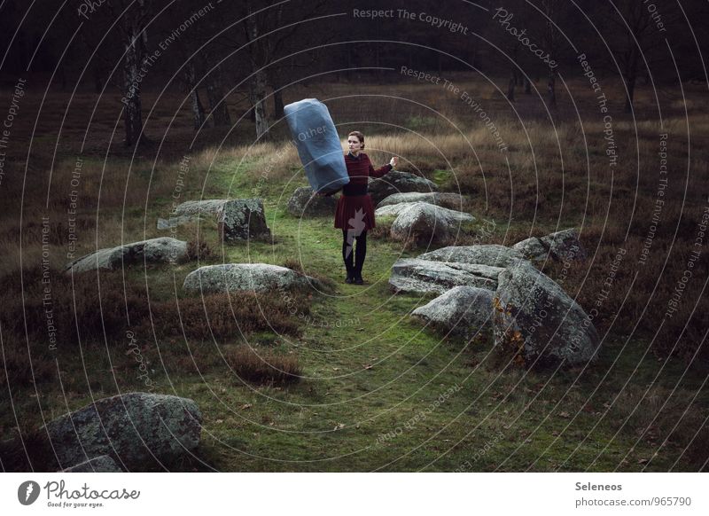 Viktualia Rollgardina Pfefferminz Mensch feminin Frau Erwachsene 1 Umwelt Natur Landschaft Herbst Park Wiese Felsen Moor Kleid Stein stark Kraft Willensstärke