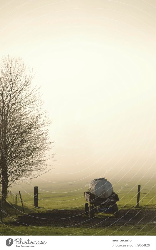 tränke Umwelt Natur Pflanze Herbst Wetter Schönes Wetter Nebel Baum Gras Grünpflanze Wildpflanze Wiese Feld Anhänger Holz Metall entdecken wandern authentisch