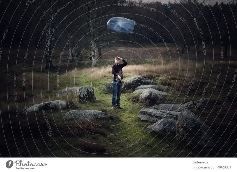 Weitblick Mensch maskulin Mann Erwachsene 1 18-30 Jahre Jugendliche Umwelt Natur Landschaft Herbst Gras Sträucher Moos Felsen Wege & Pfade Stein beobachten