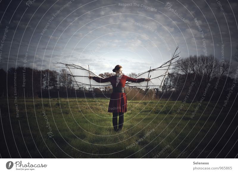 fliegen lernen Ausflug Abenteuer Ferne Freiheit Mensch Frau Erwachsene 1 Umwelt Landschaft Wolken Wiese Feld festhalten frei Sehnsucht Flügel Ikarus Farbfoto