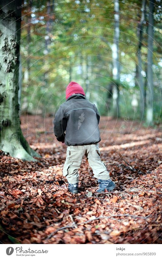 Sachenfinder Lifestyle Freude Freizeit & Hobby Ausflug wandern Spaziergang herbstspaziergang Kind Kleinkind Junge Kindheit Leben Rücken 1 Mensch 1-3 Jahre