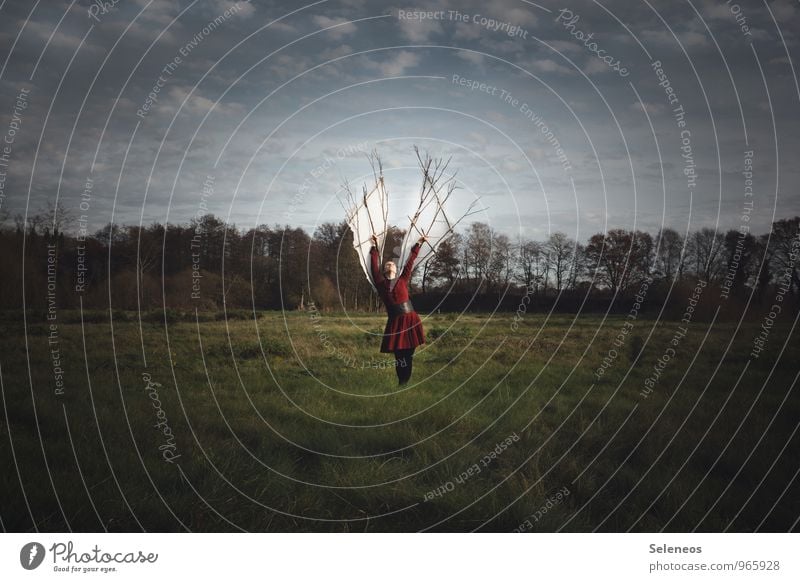 Die Freiheit. Das Ziel. Ausflug Abenteuer Ferne Mensch feminin Frau Erwachsene 1 Umwelt Natur Landschaft Himmel Wolken Wiese Feld entdecken fliegen frei Neugier