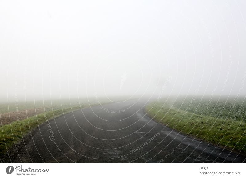 bis zum Baum und weiter raus Umwelt Landschaft Luft Horizont Herbst Winter Nebel Feld Menschenleer Verkehr Wege & Pfade Landstraße Kurve trist Einsamkeit Ende