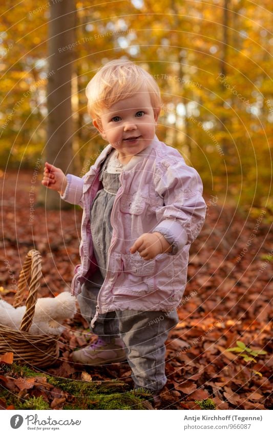 Frechdachs feminin Kind Kleinkind Mädchen Schwester Familie & Verwandtschaft 1 Mensch 1-3 Jahre Natur Landschaft Erde Sonnenlicht Herbst Schönes Wetter Baum