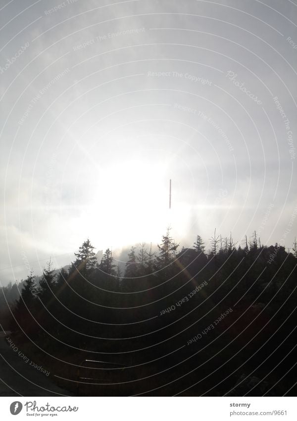 Jesken Wald Horizont Europa Berge u. Gebirge Himmel Polen Sonne