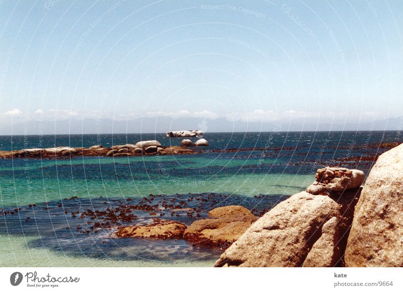 Traumstrand Meer Strand Südafrika Küste Felsvorsprung Felsen blau Himmel