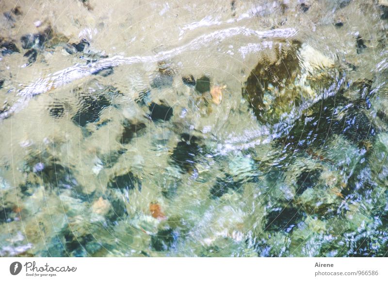 Spülmittel Natur Wasser Blatt Schlucht Wellen Flussufer Bach Wildbach Geröll Stein Sand frisch Sauberkeit türkis weiß Reinheit Bewegung Leichtigkeit Geplätscher