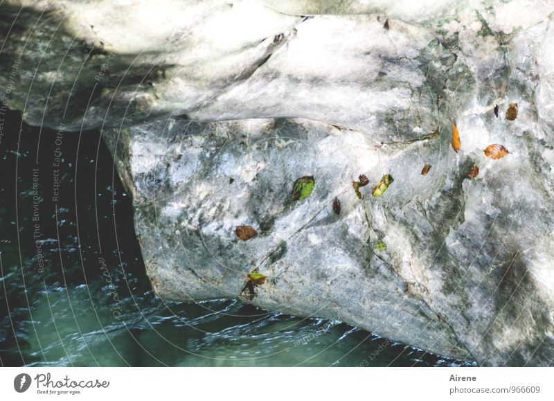 nichts bleibt wie es ist Natur Landschaft Urelemente Wasser Herbst Blatt Herbstlaub Felsen Alpen Schlucht Seisenbergklamm Bach Wildbach Stein Riss grau türkis