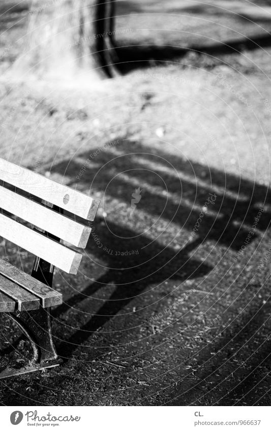 lange schatten Umwelt Natur Schönes Wetter Baum Gras Park Wiese Bank Baumstamm sitzen Pause ruhig Schwarzweißfoto Außenaufnahme Menschenleer Tag Licht Schatten