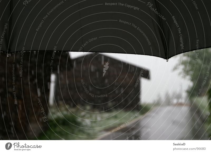 kalter regen Regenschirm Schweiz Verkehrswege Winter Wasser Schnee Straße Wetter Alpen