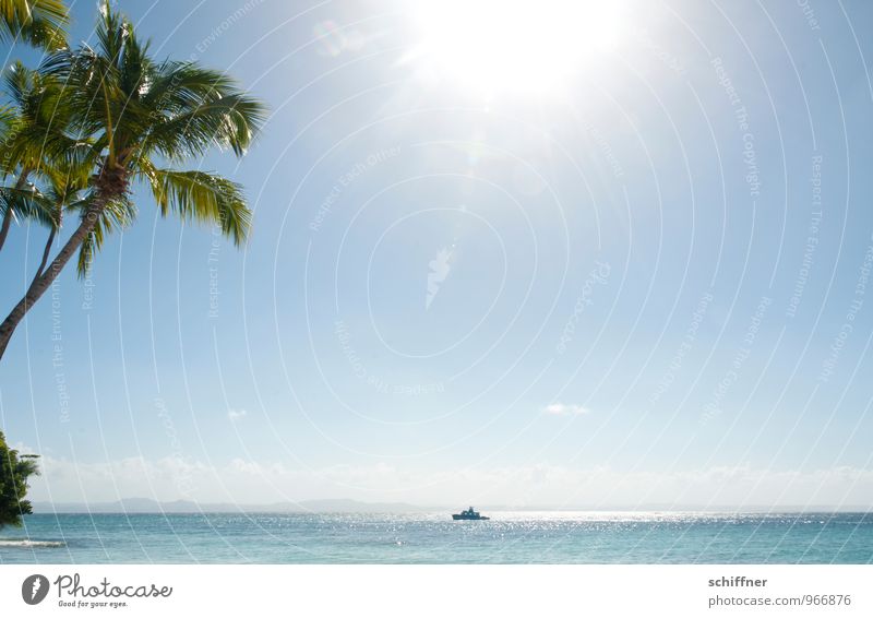 Der Planet brennt Umwelt Natur Horizont Sonne Sonnenlicht Sommer Schönes Wetter Pflanze Baum exotisch Wellen Küste Strand Meer blau türkis Wasserfahrzeug