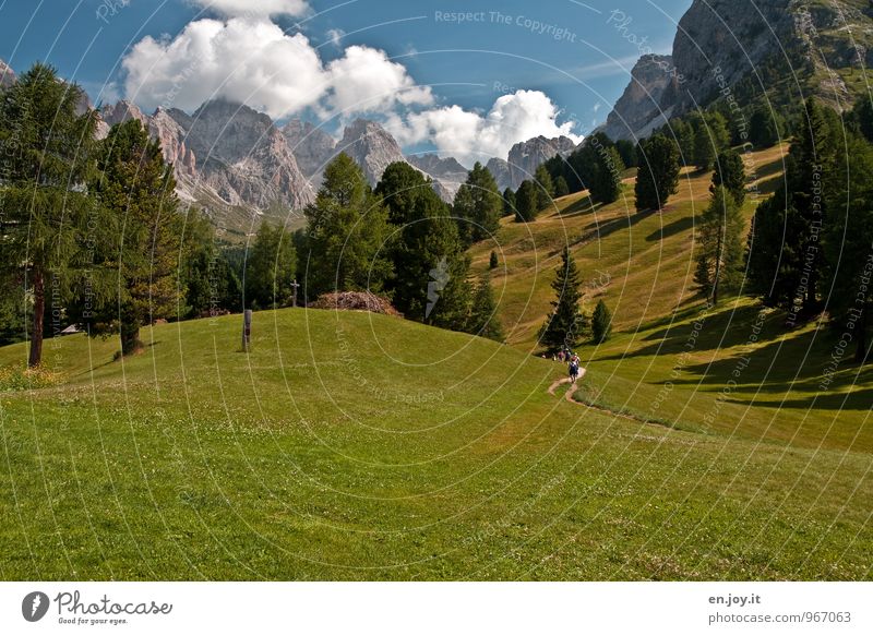 Wanderlust Ferien & Urlaub & Reisen Tourismus Ausflug Abenteuer Sommerurlaub Berge u. Gebirge wandern Menschengruppe Natur Landschaft Wolken Wiese Felsen Alpen