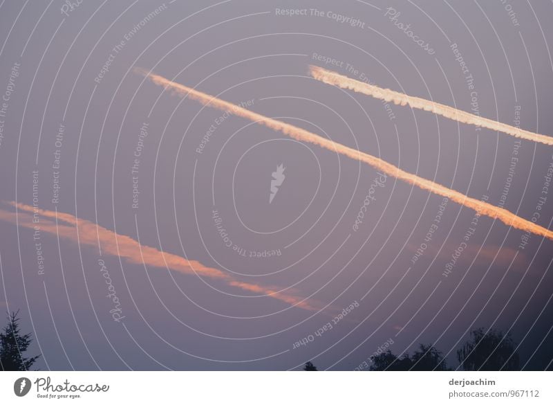 Alle auf Kurs, Drei Flugzeugstreifen am Himmel alle in eine Richtung über Franken. Freude harmonisch Umwelt Sommer Schönes Wetter Bayern Deutschland Kleinstadt