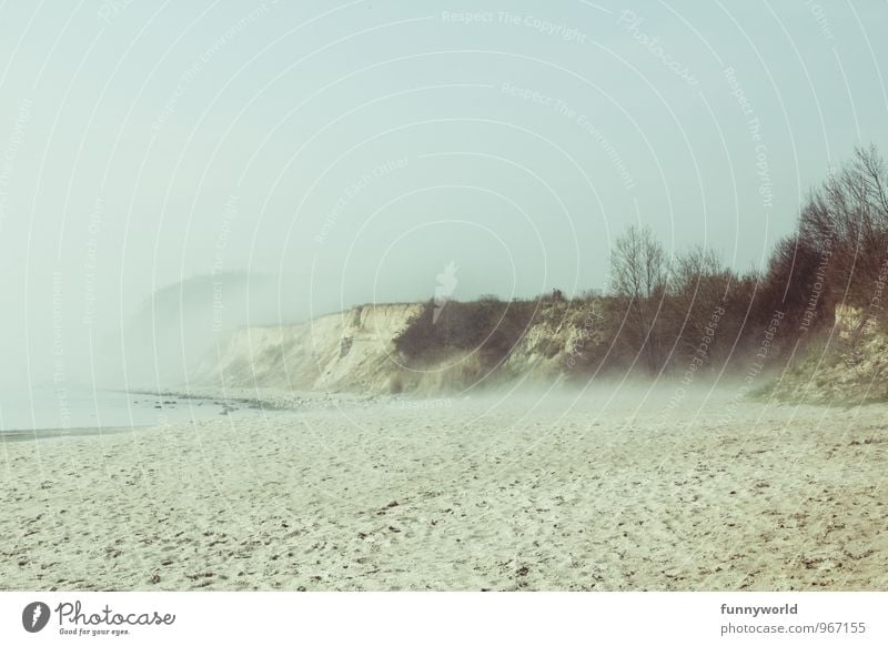 Sandstrandnebel Ferien & Urlaub & Reisen Abenteuer Ferne Freiheit Sommer Sommerurlaub Strand Meer Insel Stein rau Nebel Sandsturm kahl Baum Klima trocken