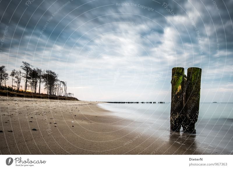 Dreierlei Umwelt Natur Landschaft Erde Sand Wasser Himmel Wolken Horizont Wind Baum Wald Küste Strand Ostsee blau braun schwarz weiß Ferne Buhne alt morsch