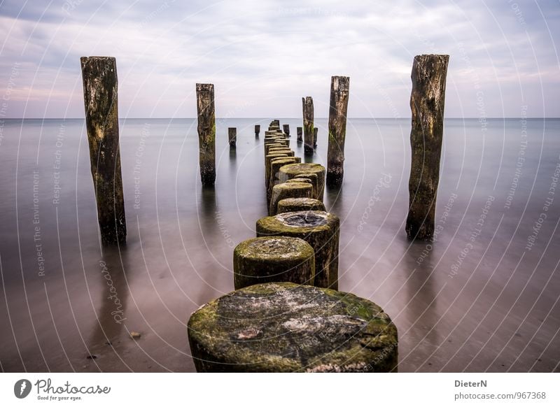 Hinein Natur Sand Wasser Himmel Wolken Wetter Küste Ostsee blau violett schwarz weiß Buhne maritim Farbfoto Außenaufnahme Menschenleer Textfreiraum links