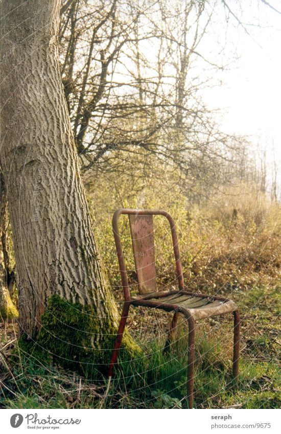 Zeit Baum ruhig Pause Trauer Einsamkeit Erholung abgelegen herbstlich Umwelt verfallen Schrott Eiche Baumrinde Wiese kaputt Sträucher Herbst Möbel Erinnerung