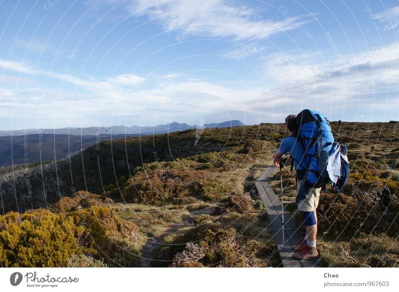 Overland Track Ferien & Urlaub & Reisen Ausflug Abenteuer Sommer Berge u. Gebirge wandern Klettern Bergsteigen Mensch maskulin 1 18-30 Jahre Jugendliche