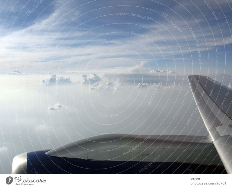 Über den Wolken Flugzeug träumen Europa Himmel Freiheit in der luft Flügel