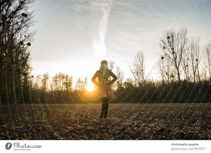 Am Ende des Tages feminin Frau Erwachsene 1 Mensch 30-45 Jahre Sonnenaufgang Sonnenuntergang Sonnenlicht Herbst Winter Baum Feld Mantel Mütze stehen schön