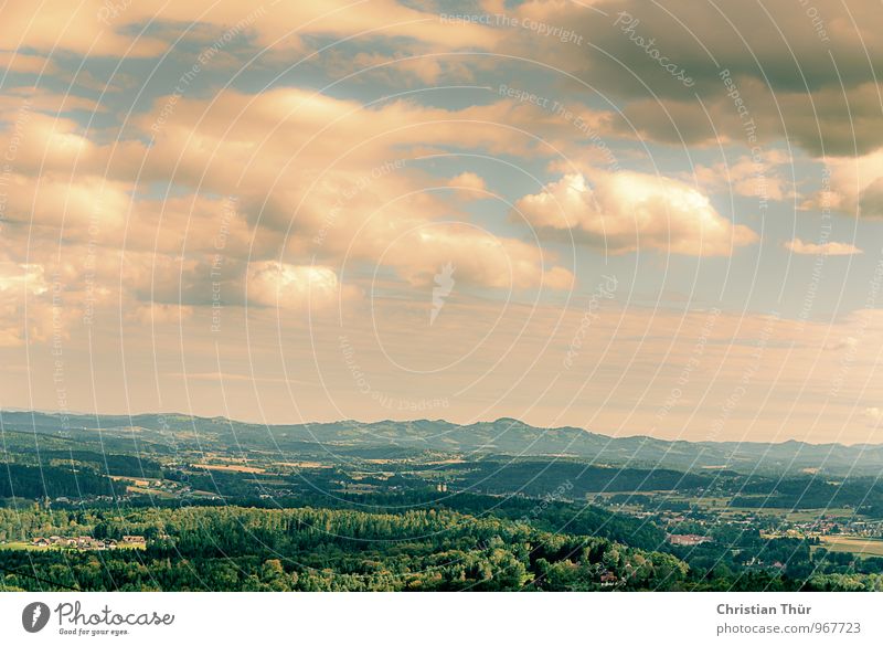 Herbstlandschaft Wellness harmonisch Wohlgefühl Zufriedenheit Sinnesorgane Erholung ruhig Meditation Ferien & Urlaub & Reisen Tourismus Ausflug Ferne Freiheit