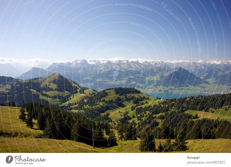 Rigi Umwelt Natur Landschaft Pflanze Erde Luft Wasser Himmel Wolkenloser Himmel Horizont Sonne Sonnenlicht Frühling Sommer Klima Klimawandel Schönes Wetter