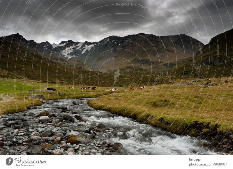 Unwetter im Anmarsch Umwelt Natur Landschaft Urelemente Wasser Himmel Wolken Gewitterwolken Sonne Sonnenlicht Frühling Sommer Klima Klimawandel