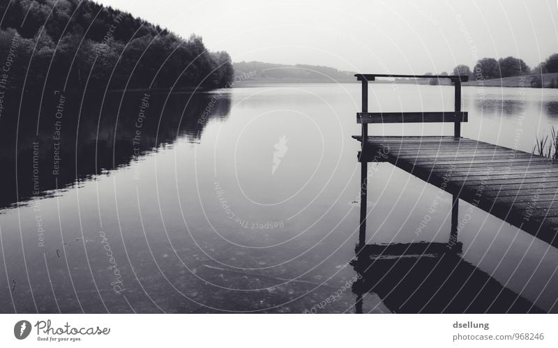 in sich gehen. Reflexion Umwelt Natur Landschaft Wasser Wolkenloser Himmel Sommer schlechtes Wetter Wald See dunkel kalt Vorsicht Gelassenheit ruhig Traurigkeit