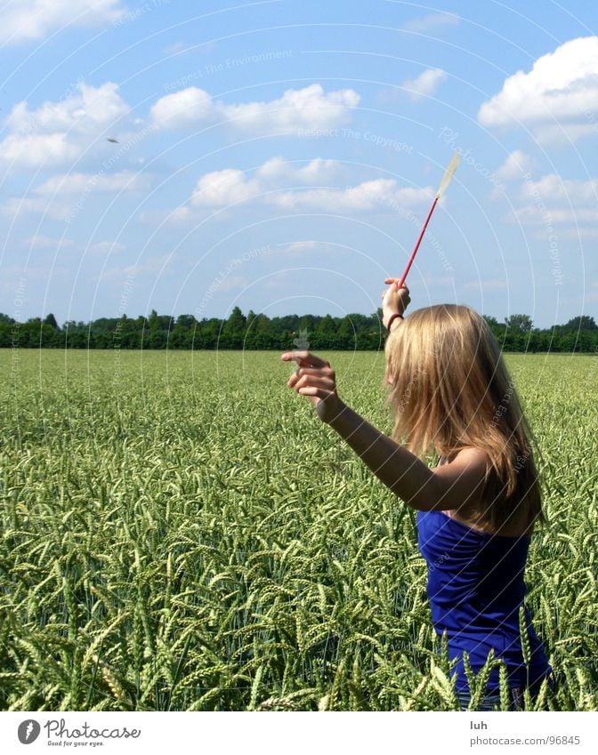 Bleib steh'n ! Wolken himmelblau Tier Insekt drohen wo Feld grün Weizen groß mehrfarbig drehen Schwung Mädchen Frau Ferne Jugendliche Himmel blue