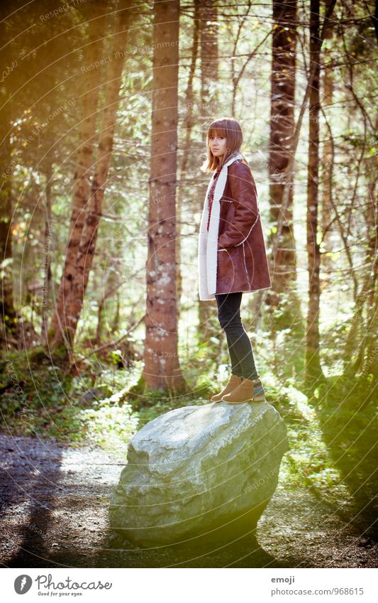 Herbst feminin Junge Frau Jugendliche 1 Mensch 18-30 Jahre Erwachsene Umwelt Natur Landschaft Schönes Wetter Wald schön Stein Gleichgewicht Spaziergang Farbfoto