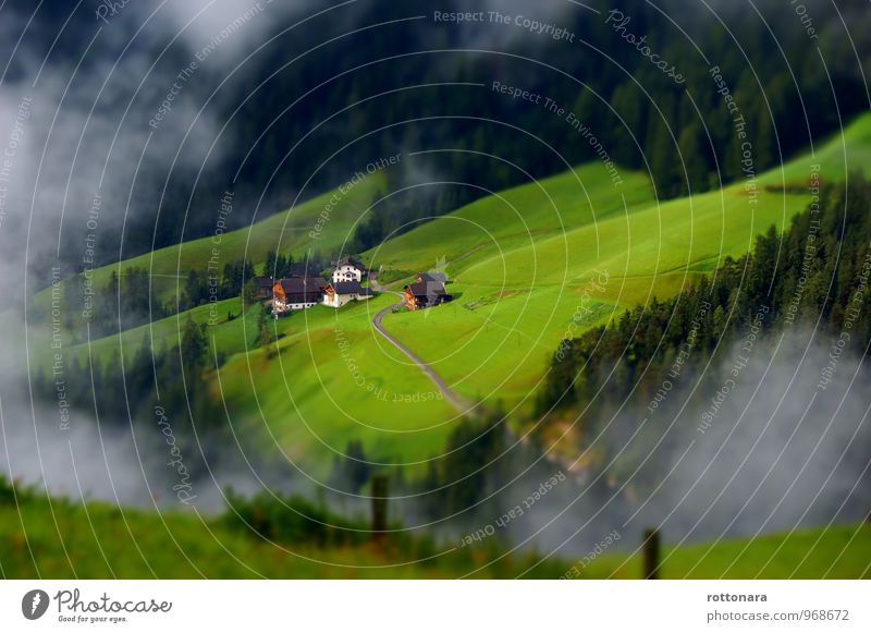 Pramberg - La Val Wiese Wald Wengen Italien Europa Dorf Haus Viles Straße grün weiß Idylle Kultur Natur Tradition ciarü pramperch Tilt-Shift Nebel Ladinia