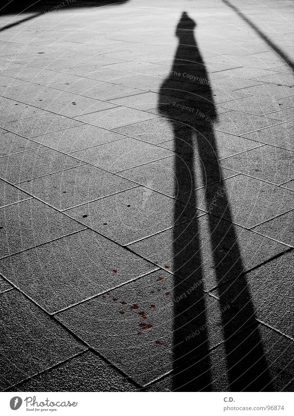 mein stiller Begleiter Comic schwarz weiß grau Trauer Gefühle Spiegelbild Rostock Zwilling gehen Stadt Verkehrswege Schwarzweißfoto Schatten Stein Straße Blut