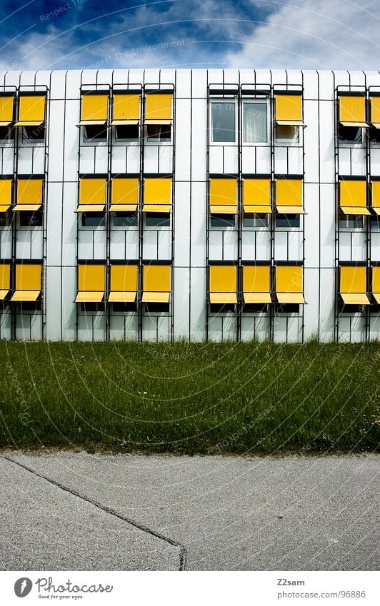 Andersdenker Außenseiter einzigartig Fenster gelb Rollo Wiese Teer Wolken weiß graphisch einheitlich grün Gras Individualist modern aus der reihe Linie Himmel