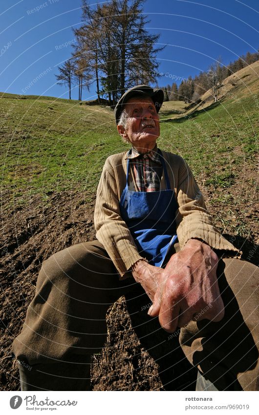 Do n dé sfadius berba Tin fej na palsa. Bauerarbeit Bauernhof Feld Landwirtschaft Forstwirtschaft Mensch maskulin Mann Erwachsene Großvater Hand 1 60 und älter