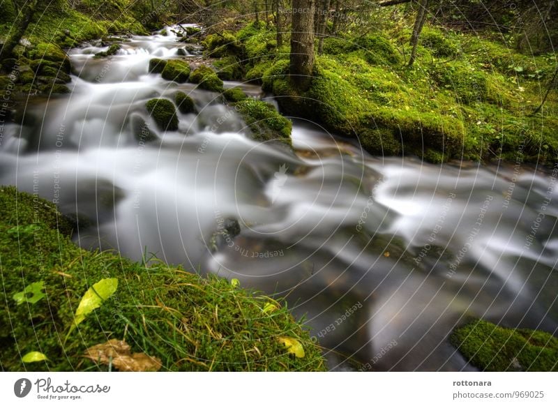 Flüssigkeiten Natur Wasser Sommer Baum Moos Blatt Wald Bach Fluss positiv Geschwindigkeit schön grün weiß nass flüssig ega müstl pares Italien Südtirol alpen