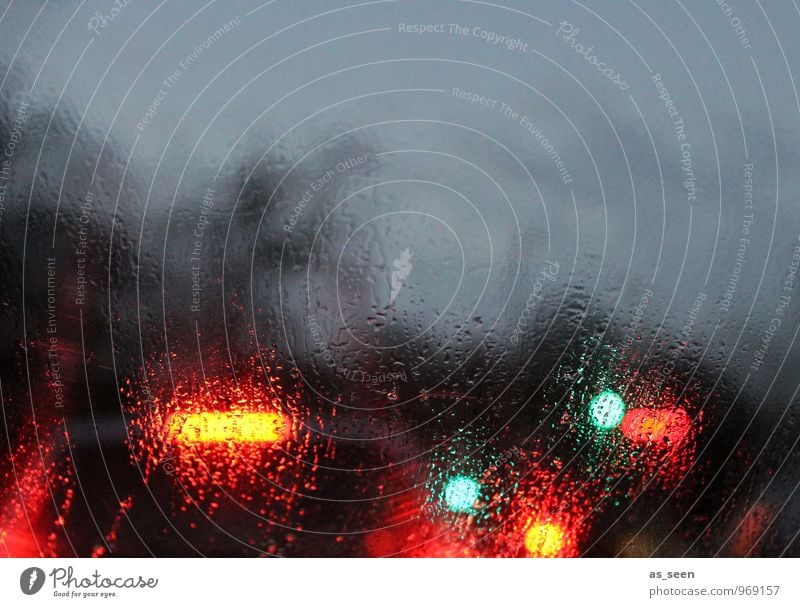 Novemberlights Design Nachtleben Stadt Verkehr Verkehrswege Berufsverkehr Straßenverkehr Autofahren Busfahren Ampel glänzend leuchten grau grün orange rot