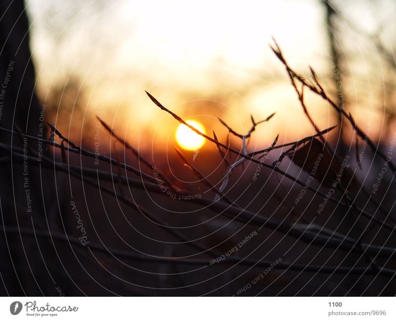 Sonnenuntergang Nacht Berge u. Gebirge Abend Himmel Natur