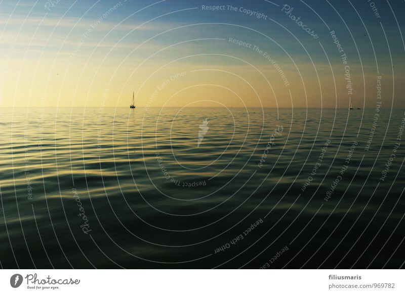 Das Ijsselmeer Ferien & Urlaub & Reisen Ausflug Abenteuer Freiheit Sport Segeln Umwelt Natur Landschaft Wasser Himmel Sommer Schönes Wetter Wind Nebel Wellen