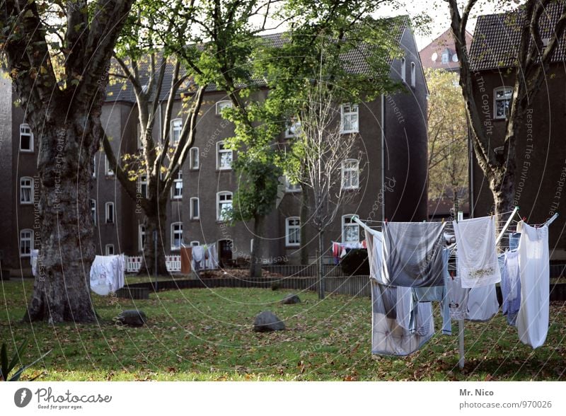 saubär Umwelt Stadt Haus Gebäude Sauberkeit grau weiß Wäsche Wäsche waschen Wäscheständer Innenhof Nachbar Wiese Baum Wohnsiedlung Mehrfamilienhaus trocknen