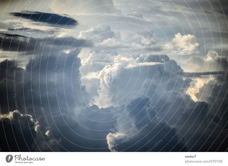 Pastell-Berge nur Himmel Gewitterwolken bedrohlich gigantisch weich blau grau weiß Bewegung Energie Horizont Kraft rein Wetter Kumulunimbus Gedeckte Farben