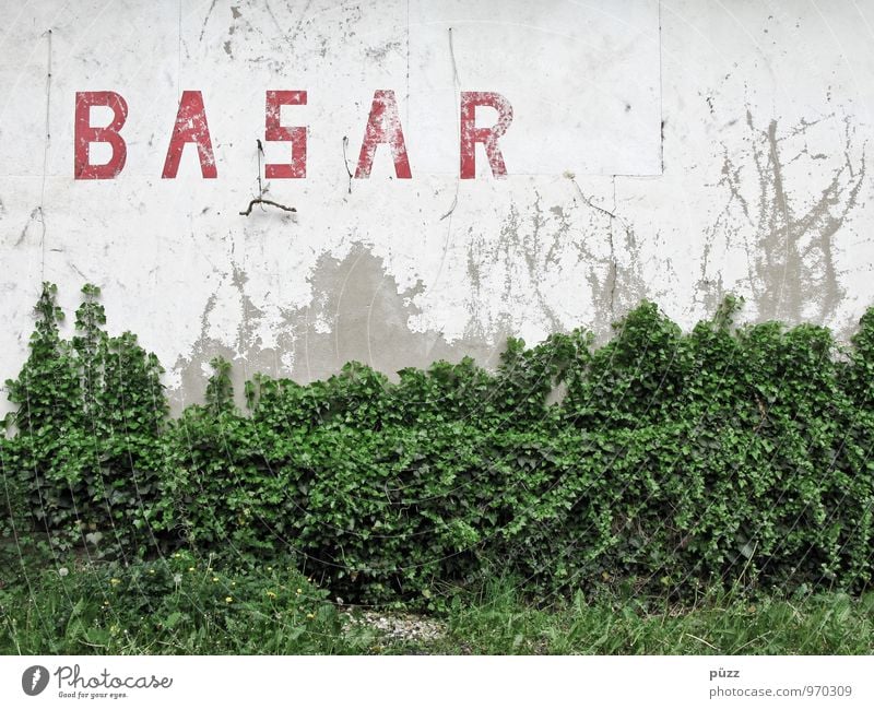 BASAR Umwelt Natur Pflanze Sträucher Efeu Blatt Grünpflanze Wildpflanze Dorf Kleinstadt Haus Ruine Bauwerk Gebäude Mauer Wand Fassade Stein Zeichen