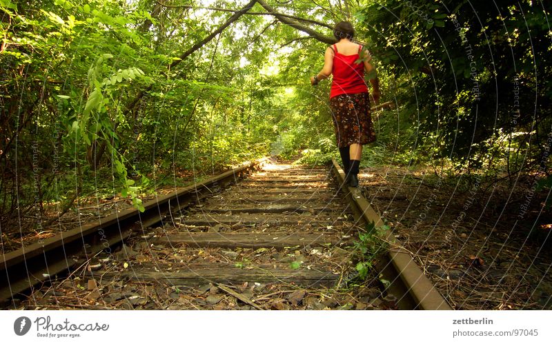 Balance II Zufriedenheit Gleichgewicht Gleise rangieren stilllegen Wald Sträucher Park Baum Waldspaziergang wandern geheimnisvoll gefährlich Überfall Dieb