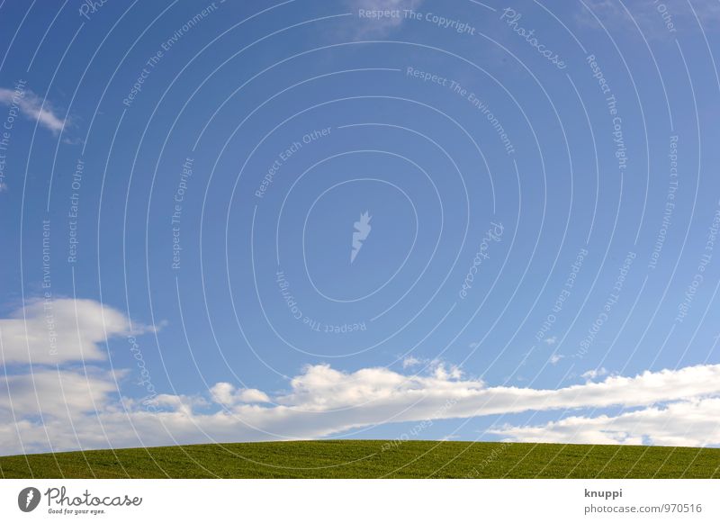 350 l Freiraum für... Umwelt Natur Landschaft Luft Himmel Wolken Horizont Sonnenlicht Frühling Sommer Schönes Wetter Wärme Pflanze Gras Blatt Grünpflanze Wiese