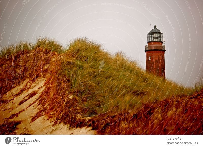 Leuchtturm See Meer Strand Küste Gras Navigation Orientierung Licht salzig Ferien & Urlaub & Reisen Seezeichen Fischland-Darß-Zingst Prerow Weststrand Luft