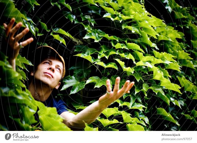 Gärtners Delight Blatt grün Urwald Hand Mann flehend Wunsch Grüner Daumen maskulin Pflanze gedeihen Wachstum sprießen Kraft Hoffnung Natur wuchern wildwuchs