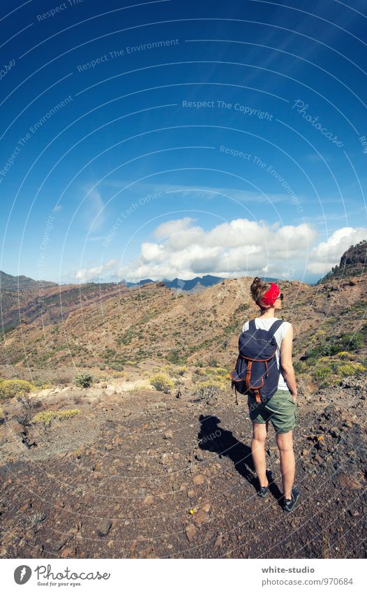 Wandetag feminin Junge Frau Jugendliche Erwachsene 18-30 Jahre Hügel Felsen Alpen Berge u. Gebirge Gipfel wandern Bergsteigen Ausflug Wandertag Spaziergang