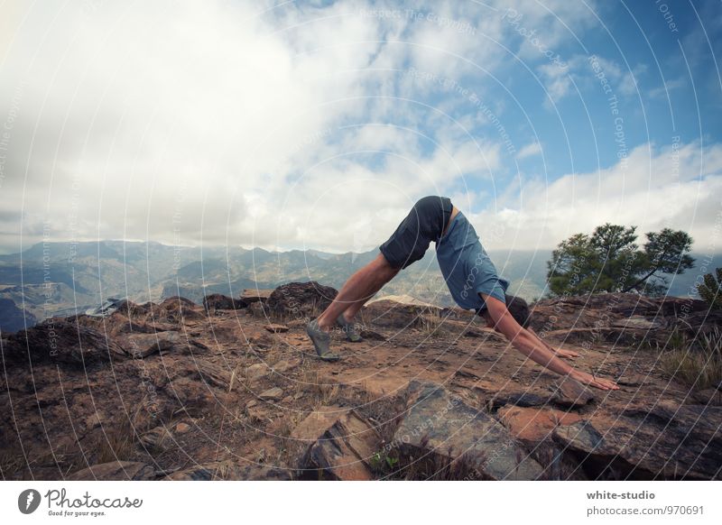 Outdoor Yoga maskulin Mann Erwachsene Körper 18-30 Jahre Jugendliche Sport sportlich Yogalehrer Lehrer Außenaufnahme Hund Berge u. Gebirge Kopf Sportler