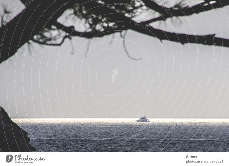 Soirée Landschaft Meer Adria positiv blau schwarz silber Ende Nostalgie Abschied Wasserfahrzeug Farbfoto Gedeckte Farben Außenaufnahme Menschenleer