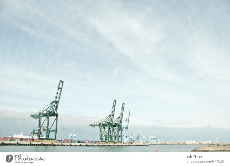 Belgische Giraffenherde Technik & Technologie Industrie Landschaft Schifffahrt Hafen Container grau Holzgiraffe Containerterminal Containerverladung